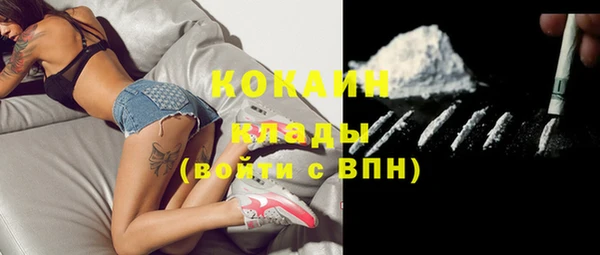 не бодяженный Гусев