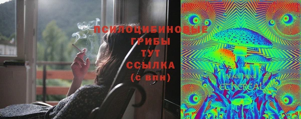 не бодяженный Гусев