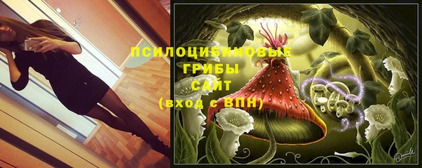 соль курить ск Гусь-Хрустальный